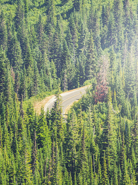istock winding road to MT.Rainier 489760934