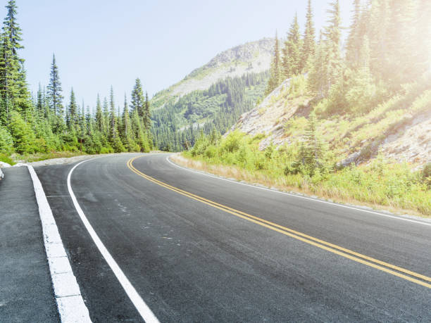 istock winding road to MT.Rainier 489761358