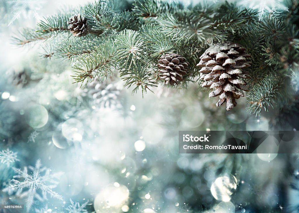 Fir Branch With Pine Cone And Snow Flakes Christmas Holidays Background with copy space Christmas Stock Photo