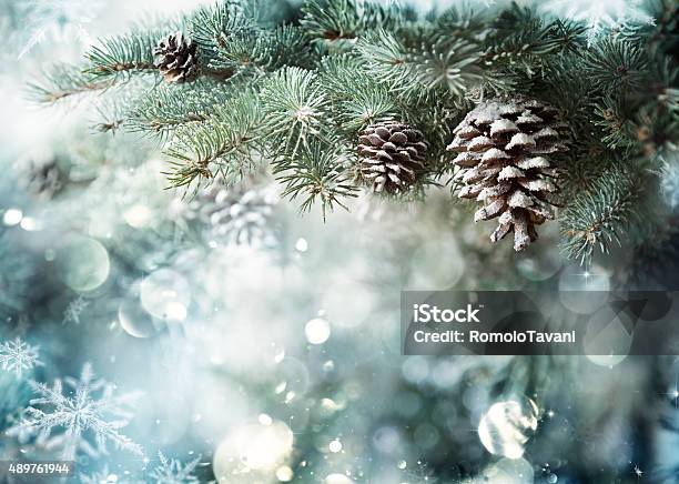 Fir Branch With Pine Cone And Snow Flakes Stock Photo - Download Image Now - Christmas, Winter, Snow