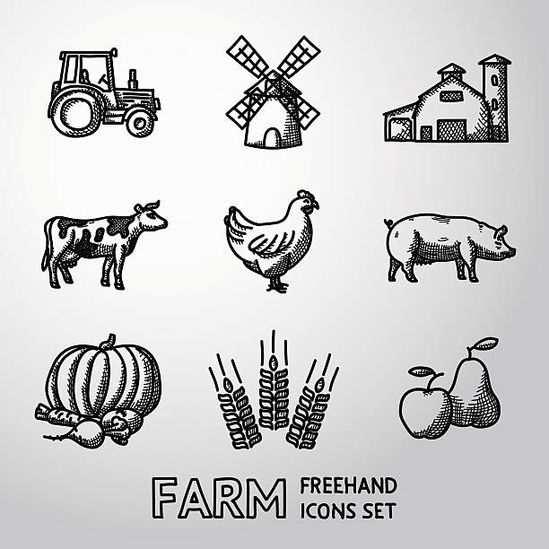 Set of Farm freehand icons - tractor, wind mill, barn Set of Farm freehand icons - tractor and wind mill, barn and cow, chicken, pig, vegetables, wheat, fruits. Vector illustration farmer drawings stock illustrations