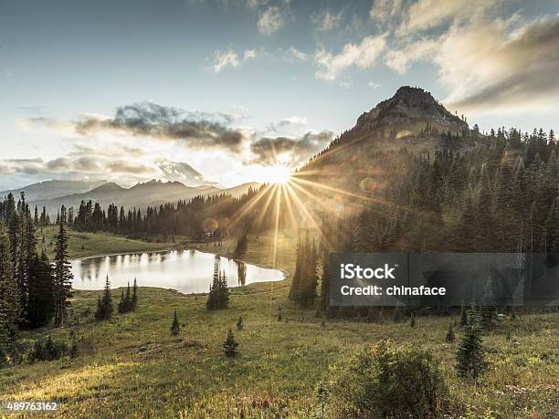 Mtrainier In Sunset Stock Photo - Download Image Now - Washington State, Forest, Mountain