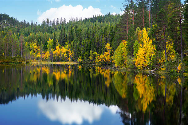 istock Beautiful scandinavian lake in autumn 489766098