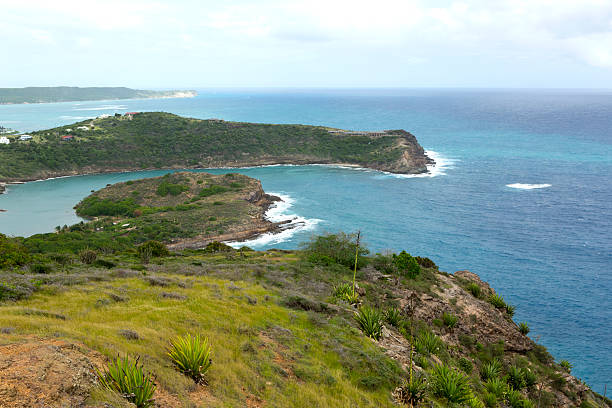 istock Antigua rocky shoreline 489767338