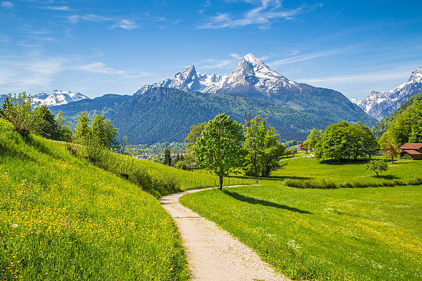 istock Idyllic landscape in the Alps with mountain pastures in springtime 489776270