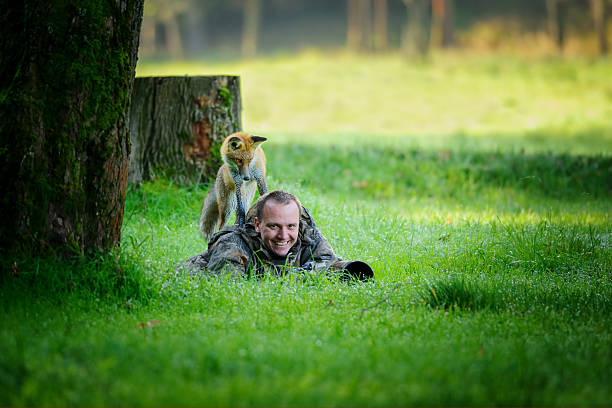Wildlife photographer in grass with curious fox on his back stock photo