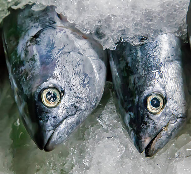 fisch meeresfrüchte auf eis - fischaugen stock-fotos und bilder