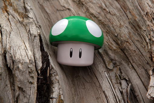 Vancouver, Canada - September 14, 2015: A 1-Up Mushroom from the Mario Bros. franchise of computer games, against a natural background. The mushroom is manufactured by the Boston America Corporation and created by Nintendo