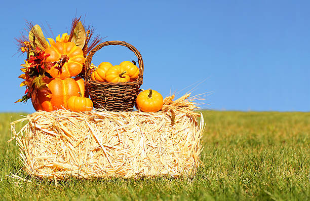 istock Autumn Decoration. Pumpkins with Basket on Straw Bale 489786612