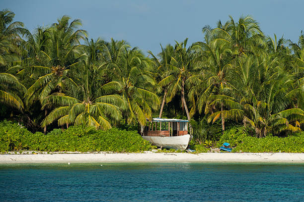 istock maldives tropical paradise beach crystal water coconut tree island 489786792