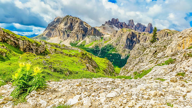 istock Dolomites Mountains and blooming flowers 489787940