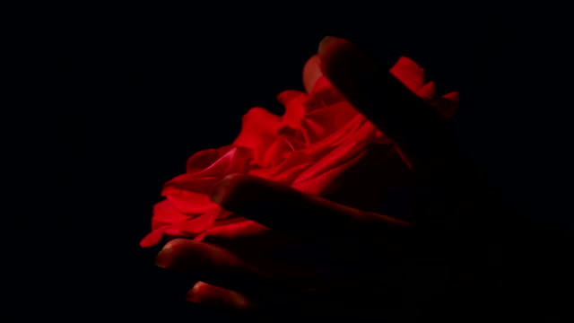 Female hand strangling red rose. Violent killing beauty