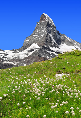 Views of the Matterhorn - Swiss Alps 