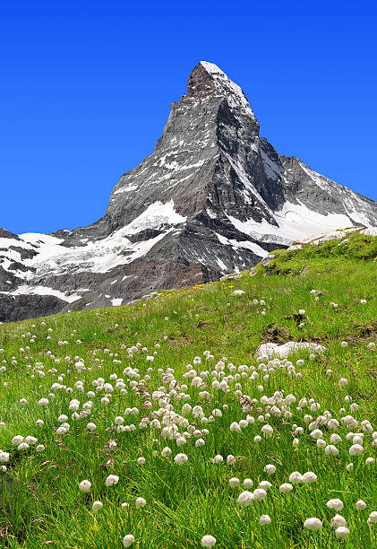 Matterhorn - Swiss Alps Views of the Matterhorn - Swiss Alps  matterhorn stock pictures, royalty-free photos & images