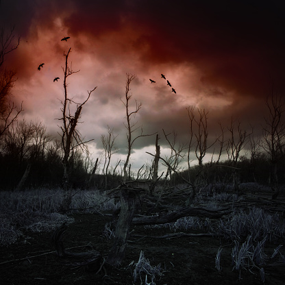 Dead forest with mud and dark clouds