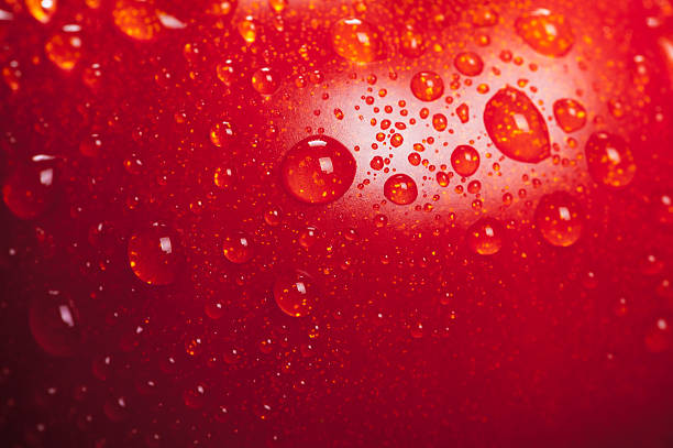 istock Super macro shot of tomatoes 489806658