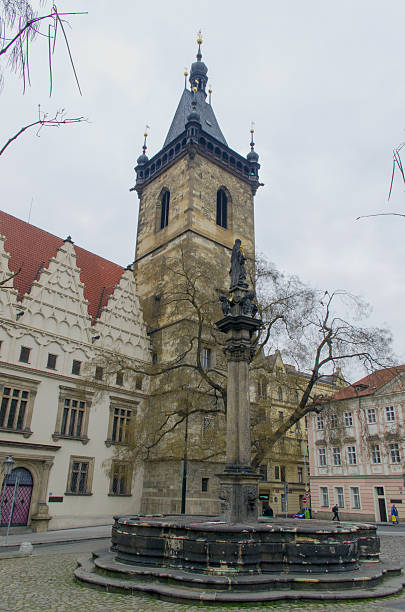 istock New Town Hall in Prague 489807559