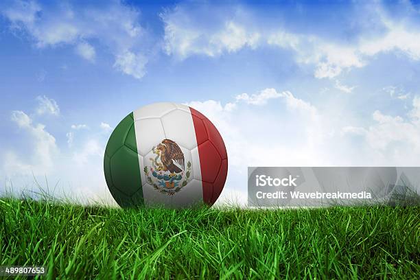 Football In Mexico Colours Stock Photo - Download Image Now - Activity, Agricultural Field, Blade