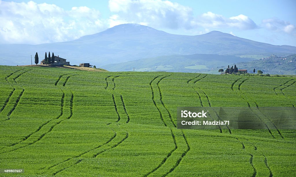 Toscana - Foto stock royalty-free di Agricoltura