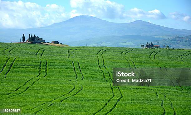 Toscana - Fotografie stock e altre immagini di Agricoltura - Agricoltura, Ambientazione esterna, Campo