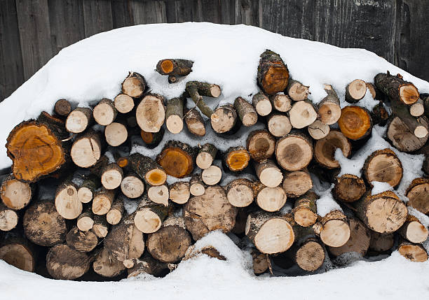 pilha de lenha neve em fundo de madeira - lumber industry cold day forest imagens e fotografias de stock