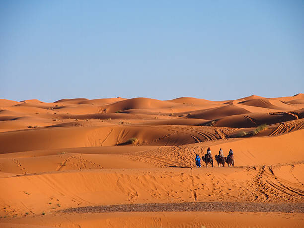istock Sand dunes of Erg Chebbi 489811331