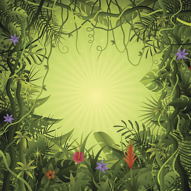 Rainforest background High Resolution JPG,CS6 AI and Illustrator EPS 10 included. Each element is named,grouped and layered separately. Very easy to edit.  amazon forest stock illustrations