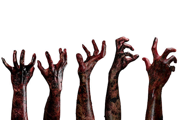 Blood  zombie hands,  zombie theme, halloween theme Blood zombie hands on white background,zombie theme, halloween theme zombie stock pictures, royalty-free photos & images