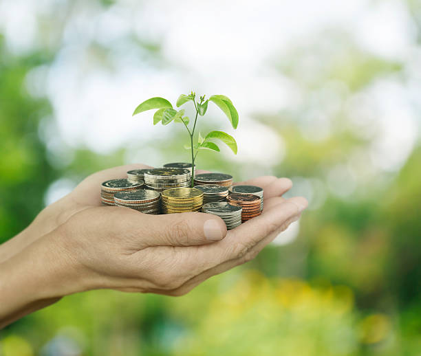 istock Hands holding a tree growing on coins over bokeh background 489813442