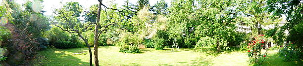 istock Beautiful green garden in sunshine 489813966