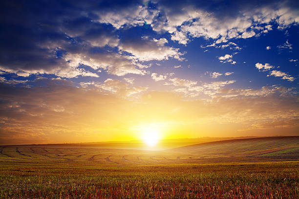 istock Green Field and Beautiful Sunset 489816078