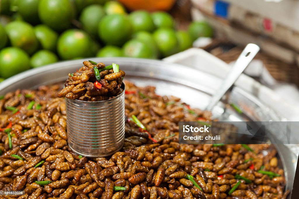 Frittierte worms - Lizenzfrei 2015 Stock-Foto