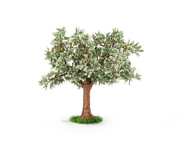 istock Business or savings concept of a money tree 489835774