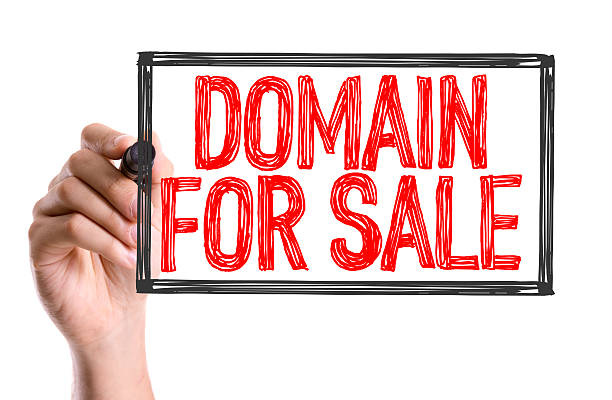 istock Hand with marker writing the word Domain for Sale 489843360