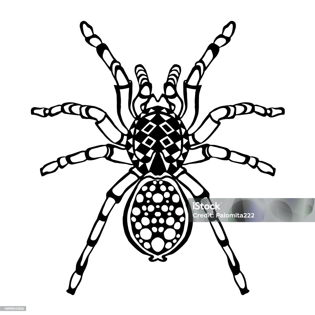 Spider Sketch For Tattoo Or Tshirt Stock Illustration - Download Image Now  - Drawing - Activity, Drawing - Art Product, Spider - iStock