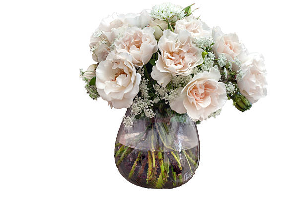 istock Isolater bouquet of roses on white background 489846100
