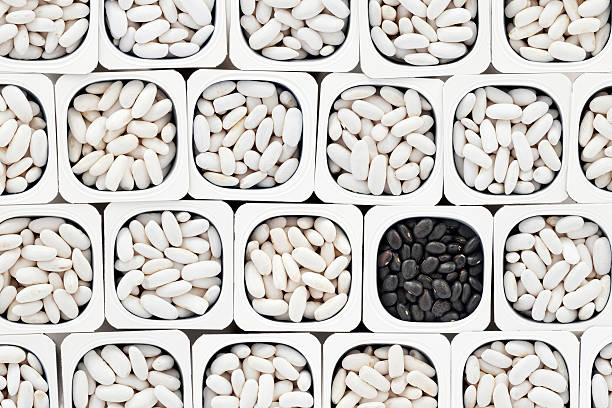 White and black beans
