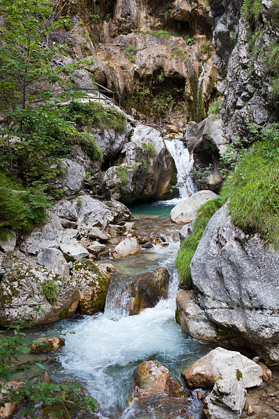 istock National park Tscheppaschlucht, Carinthia, Austria 489868010