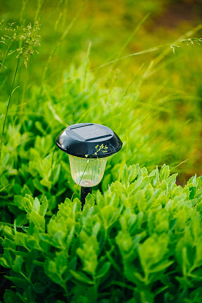 istock Garden Design. Solar Powered Lamp. Small Solar Garden Light, Lan 489868196