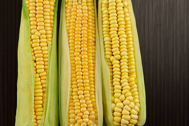 istock fresh ripe ears of corn on wooden background 489868592