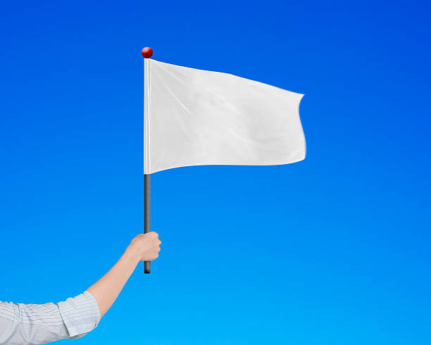 istock Woman hand holding blank white flag isolated on blue 489869164