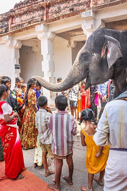 pèlerins bénie par le temple de lakshmi éléphant virupaksha temple hampi inde - elephant god photos et images de collection