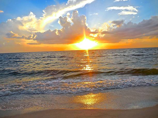 istock Tropical sunset in Florida 489871150