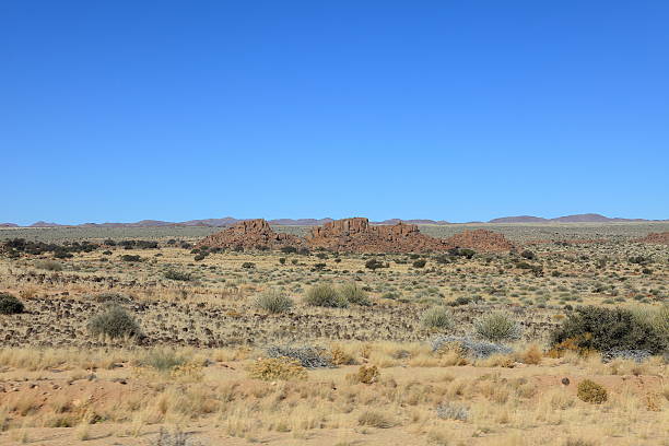 der richtersveld nationalpark w namibii - richtersveld national park zdjęcia i obrazy z banku zdjęć