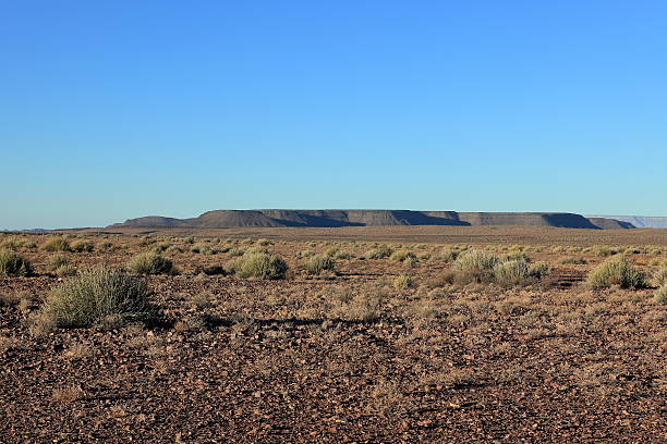 der richtersveld nationalpark w namibii - richtersveld national park zdjęcia i obrazy z banku zdjęć