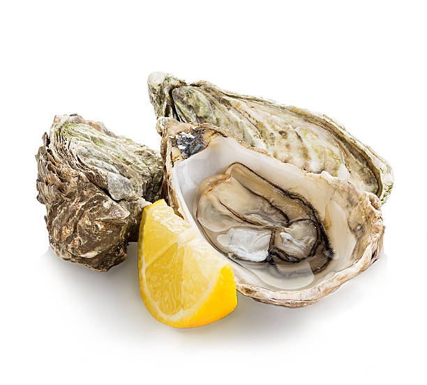 istock Oysters isolated on a white background 489876460