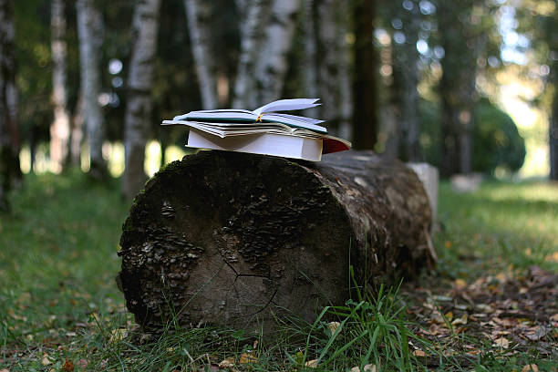istock books on a bench in the school year 489877968