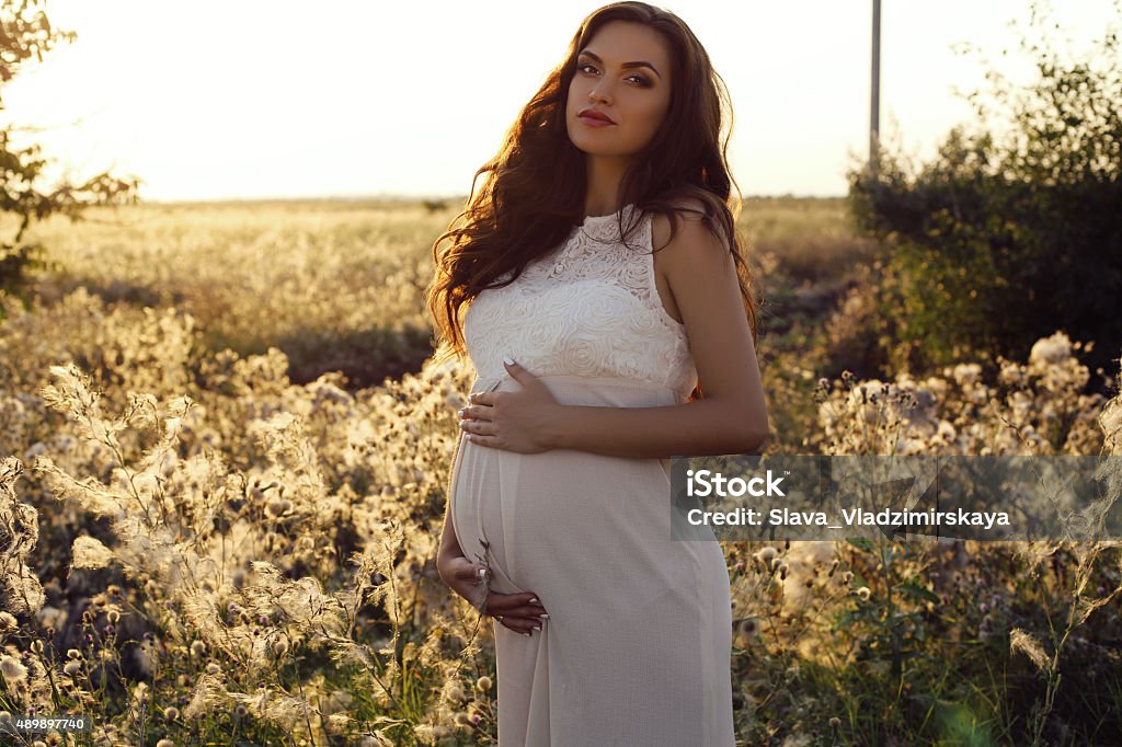 beautiful pregnant woman with dark hair in elegant dress fashion outdoor photo of beautiful pregnant woman with dark hair in elegant dress posing at summer field 2015 Stock Photo