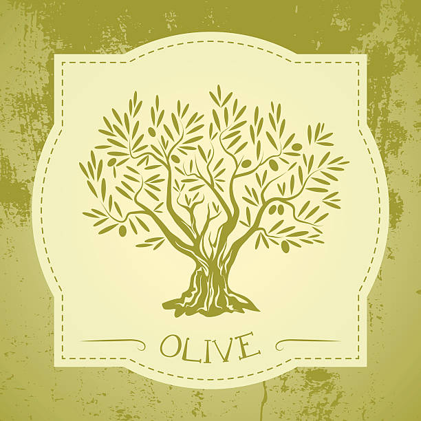 ilustrações, clipart, desenhos animados e ícones de rótulo grunge vintage com árvore de oliva - olive tree oil industry cooking oil