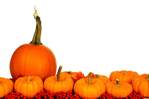 istock Autumn pumpkins, leaves, and berries border over white 489905580